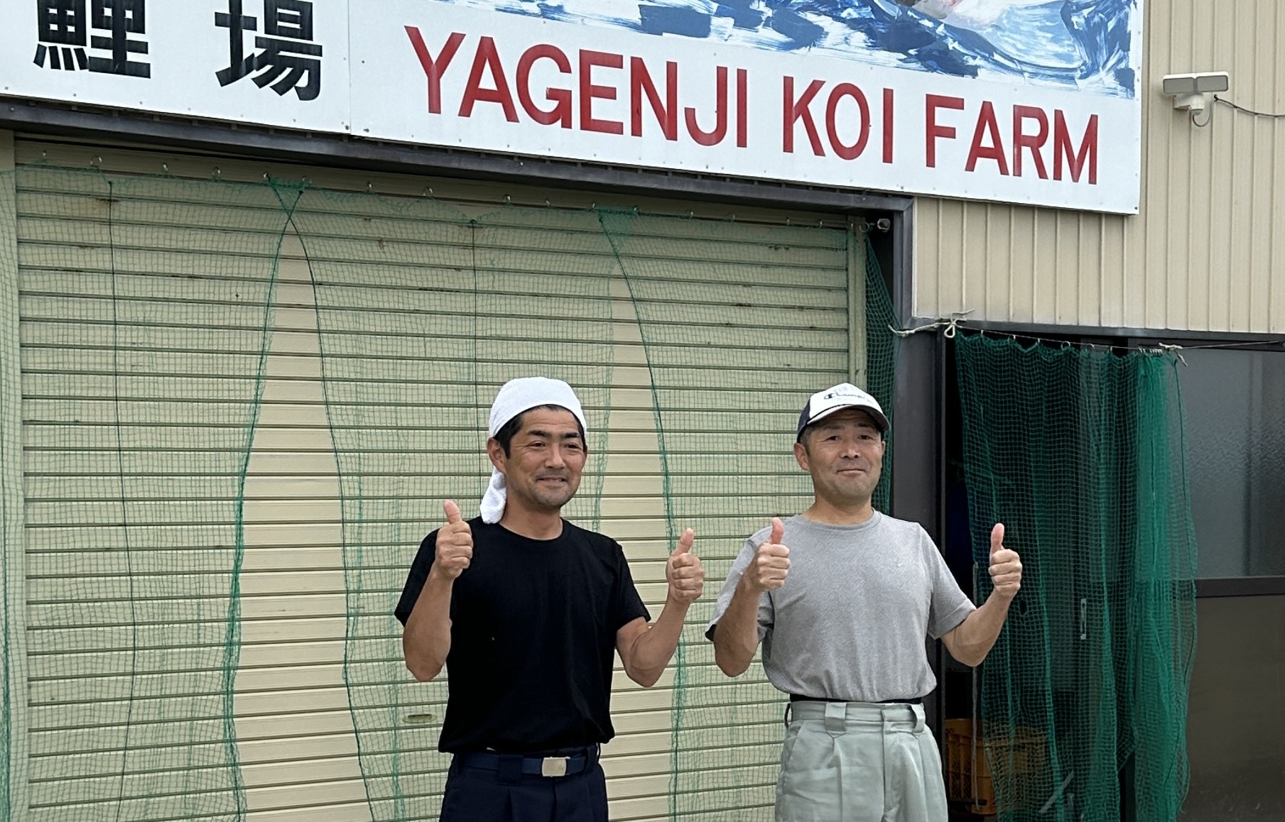 Visiting Japanese Koi Breeders in Niigata